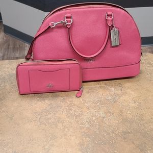 Coach Handbag & Wallet